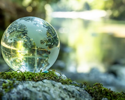 Globe in the forest