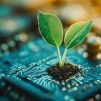 Technology and sustainability